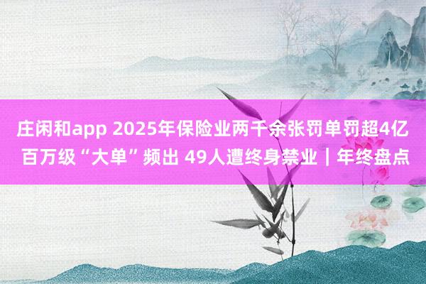 庄闲和app 2025年保险业两千余张罚单罚超4亿 百万级“大单”频出 49人遭终身禁业｜年终盘点
