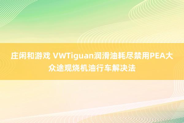 庄闲和游戏 VWTiguan润滑油耗尽禁用PEA大众途观烧机油行车解决法